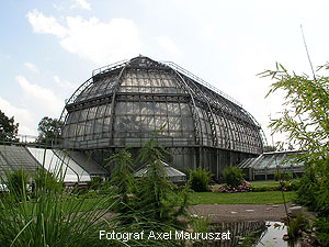 Knigin-Luise-Strae 13 Berlin Dahlem Botanischer Garten groes Tropenhaus